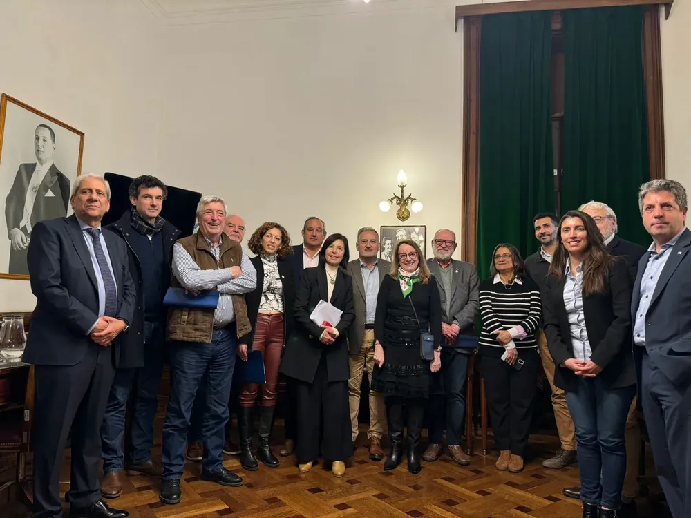 ley de emergencia pyme