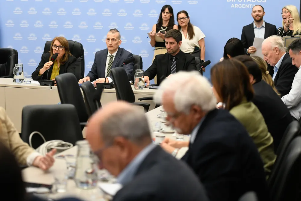 comision diputados